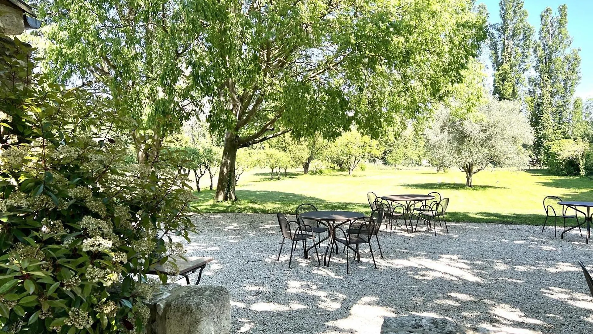 Mas Chateau Blanc Avignon Bed & Breakfast